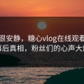 表面很安静，糖心vlog在线观看：揭开幕后真相，粉丝们的心声大爆发