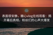 表面很安静，糖心vlog在线观看：揭开幕后真相，粉丝们的心声大爆发